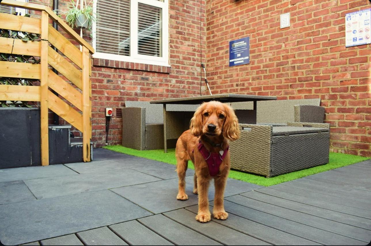 Hot Tub, Free Parking, Near Shops & Restaurants, Location 1M To City Jesmond Экстерьер фото